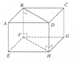 Chapter 11.1B, Problem 8A, ASSESSMENT The following figure is a box in which the top and bottom are rectangles with BF and DH 