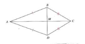 Chapter 12.1, Problem 5MC, In the following kite, congruent segments are shown with tick marks. a. Argue that the diagonal AC 