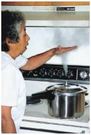 Chapter 6, Problem 94TE, Why is Millies hand not burned when she holds it above the escape valve of a pressure cooker, as , example  1