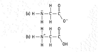 Chapter 22, Problem 16TE, An amino acid is an organic molecule that contains both an amine group and a carboxyl group. At an 