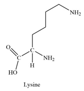 Chapter 22, Problem 18TE, The chemical compound lysine is shown below. What functional group must be removed in order to 