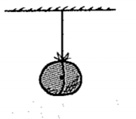 Chapter 4, Problem 17TE, Here a stone is suspended at rest by a string. (a) Draw force vectors for all the forces that act on 