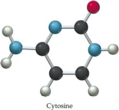 Chapter 4.7, Problem 4.14CP, The following structure is a representation of cytosine, a constituent of the DNA found in all 
