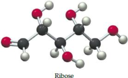 Chapter 6.7, Problem 6.16P, Ribose, a sugar present in the cells of all living organisms, has a molecular weight of 150 and the 