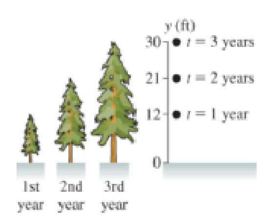 Chapter 1, Problem 76MSPP, The images of trees in Figure P1.68 come from a catalog advertising fast-growing trees. If we mark 