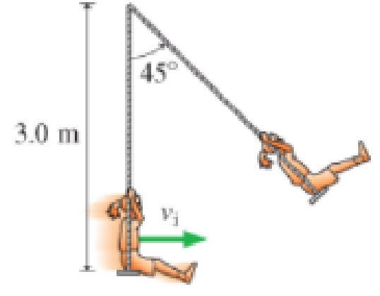 Chapter 10, Problem 58GP, A 20 kg child is on a swing that hangs from 3.0-m-long chains, as shown in Figure P10.58. What is 