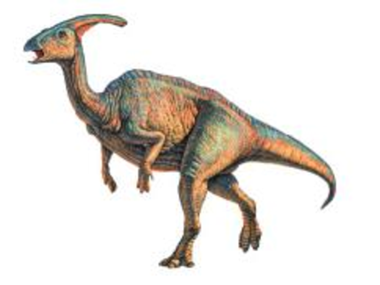 Chapter 16, Problem 26P, Parasaurolophus was a dinosaur whose distinguishing feature was a hollow crest on the head. The 