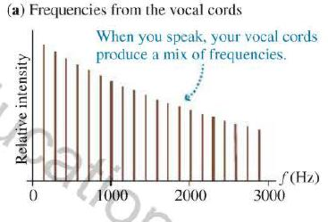 Chapter 16, Problem 33P, The first formant of your vocal system can be modeled as the resonance of an open-closed tube, the 