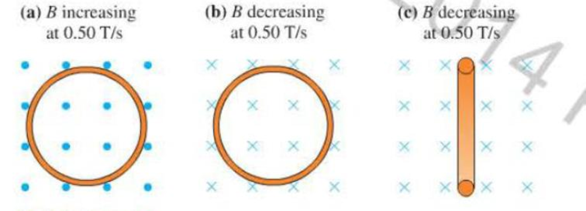 Chapter 25, Problem 17P, Figure P25.17 shows a 10-cm-diameter loop in three different magnetic fields. The loops resistance 