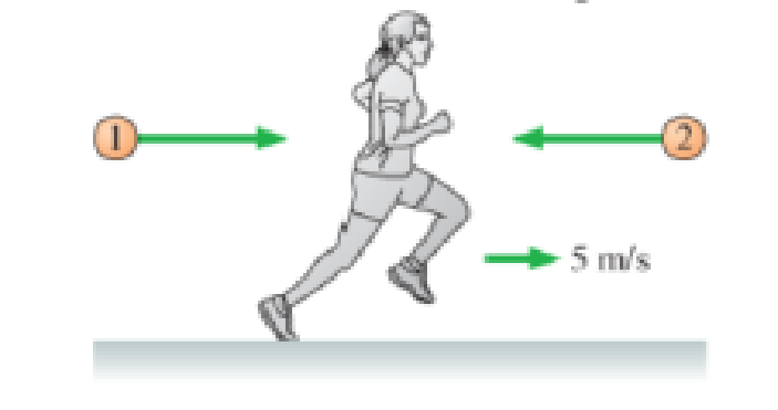 Chapter 3, Problem 23P, Anita is running to the right at 5 m/s, as shown in Figure P3.23. Balls 1 and 2 are thrown toward 