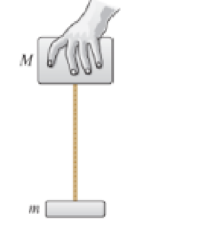 Chapter 5, Problem 6CQ, A light block of mass m and a heavy block of mass M are attached to the ends of a rope. A student 