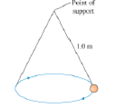 Chapter 6, Problem 57GP, A conical pendulum is formed by attaching a 500 g ball to a 1.0-m-long string, then allowing the 
