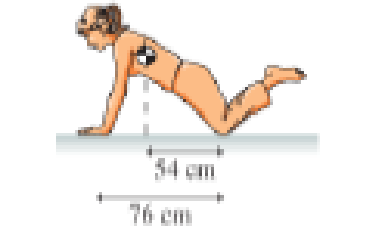 Chapter 8, Problem 46GP, A woman weighing 580 N does a pushup from her knees, as shown in Figure P8.46. What are the normal 