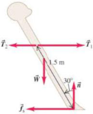 Chapter 10, Problem 73PP, Torques and tug-of-war. In a study of the biomechanics of the tug-of-war, a 2.0-m-tall, 80.0 kg 
