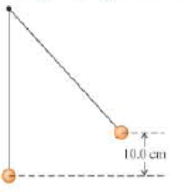 Chapter 11, Problem 59GP, In Figure 11.38 the upper ball is released from rest, collides with the stationary lower ball, and 