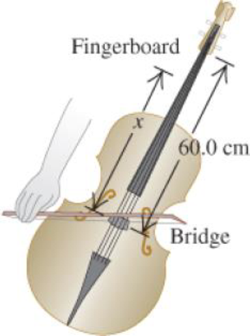 Chapter 12, Problem 19P, The portion of string between the bridge and upper end of the fingerboard (the part of the string 