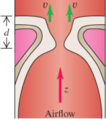 Chapter 12, Problem 72PP, BIO Waves on vocal cords. In the larynx, sound is produced by the vibration of the vocal cords. The 