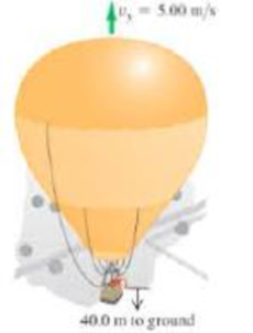 Chapter 2, Problem 51P, Thats a lot of hot air! A hot-air balloonist, rising vertically with a constant speed of 5.00 m/s, 