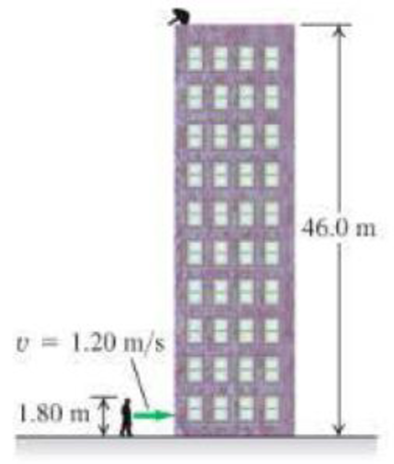 Chapter 2, Problem 66GP, || Egg drop. You are on the roof of the physics building of your school, 46.0 m above the ground. 