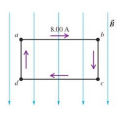 Chapter 20, Problem 30P, A rectangular 10.0 cm by 20.0 cm circuit carrying an 8.00 A current is oriented with its plane 
