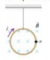 Chapter 20, Problem 6MCP, A light circular wire suspended by a thin silk thread in a uniform magnetic field carries a current 