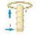 Chapter 21, Problem 14P, A solenoid carrying a current i is moving toward a metal ring, as shown in Figure 21.50. In what 