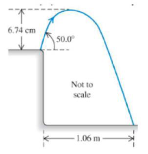 Chapter 3, Problem 22P, || A grasshopper leaps into the air from the edge of a vertical cliff, as shown in Figure 3.36. Use 