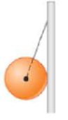 Chapter 5, Problem 12P, || A tetherball leans against the smooth, frictionless post to which it is attached. (See Figure 