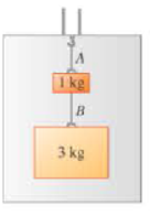 Chapter 5, Problem 19P, || Two weights are hanging from the ceiling of an elevator as shown in Figure 5.49 (a) Draw a 