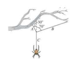Chapter 5, Problem 58GP, BIO || The stretchy silk of a certain species of spider has a force constant of 1.10 mN/cm. The 