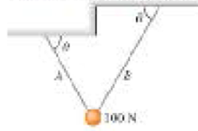 Chapter 5, Problem 8MCP, A 100 N weigh: is supported by two weightless wires A and B as shown in Figure 5.33. What can you 