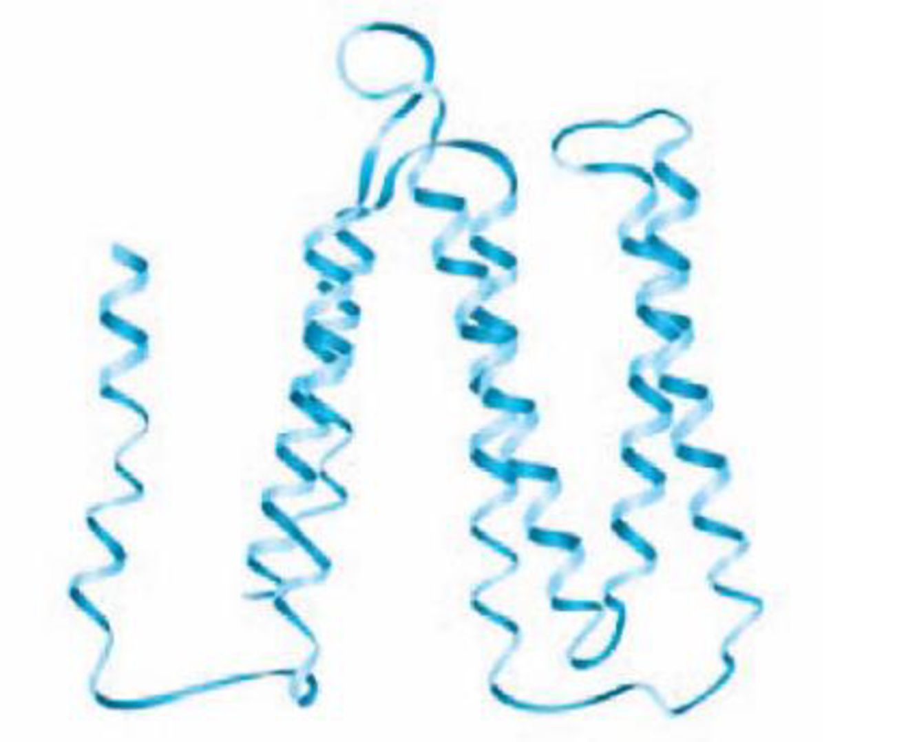 Chapter 2, Problem 8R, DRAW IT The following diagram shows the bacteriorhodopsin protein. Indicate the regions of primary, 