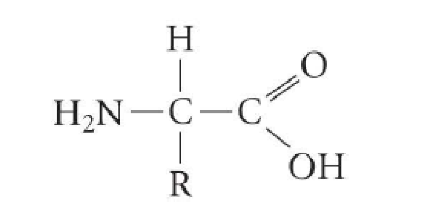 Chapter 28, Problem 2A, Methylophilus methylotrophus can convert methane (CH4) into proteins. Amino acids are represented by 