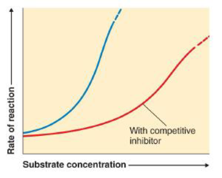 Chapter 5, Problem 2A, The following graph shows the normal rate of reaction of an enzyme and its substrate (blue) and the 