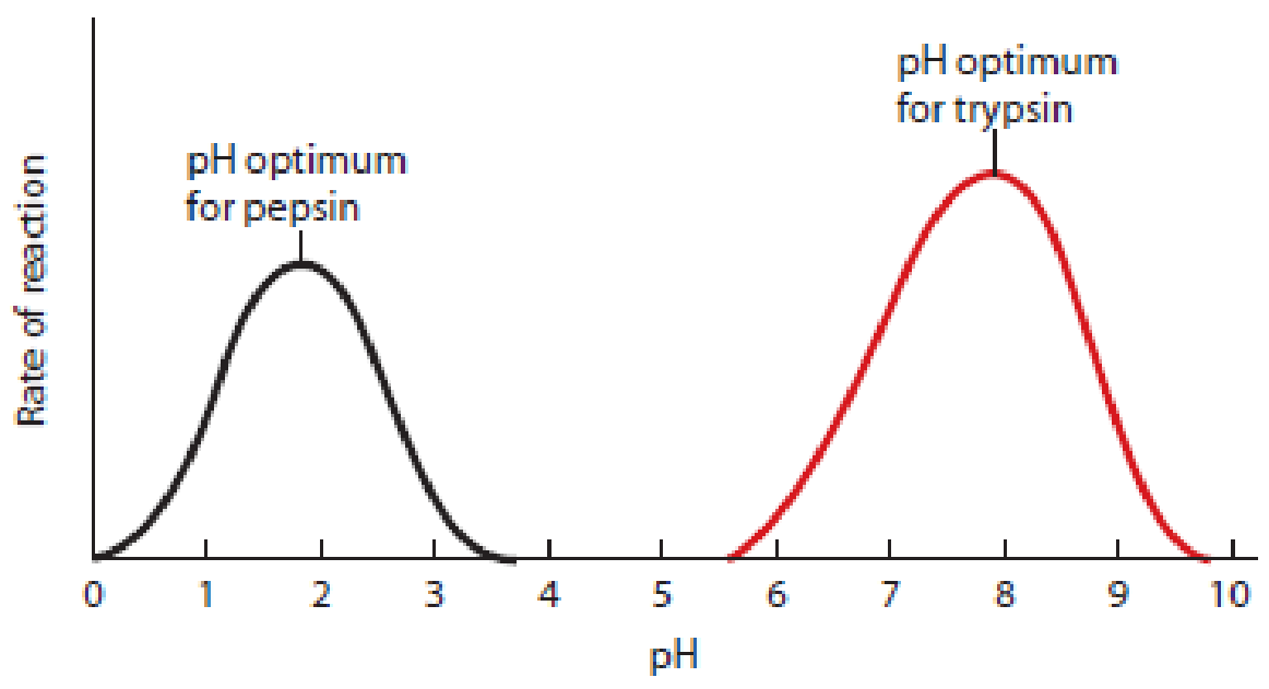 Chapter 6, Problem 6.4PS, Temperature and pH Effects. Figure 6-4 illustrates enzyme activities as functions of temperature and , example  2