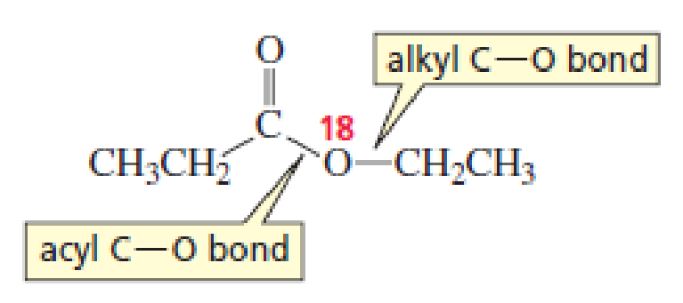 Chapter 11, Problem 39P, D. N. Kursanov, a Russian chemist, proved that the bond that is broken in the hydroxide-ion-promoted 