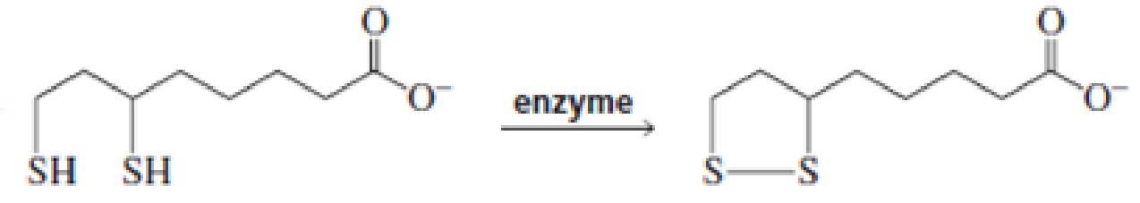 Chapter 18, Problem 36P, For each of the following reaction, name both the enzyme that catalyzes the reaction and the , example  2
