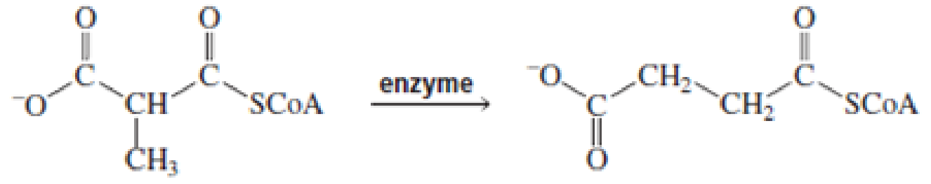 Chapter 18, Problem 36P, For each of the following reaction, name both the enzyme that catalyzes the reaction and the , example  3