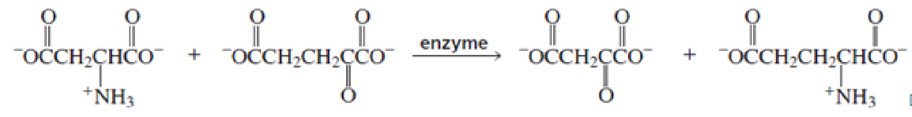 Chapter 18, Problem 39P, For each of the following enzyme catalyzed reaction, name the required coenzyme: , example  1