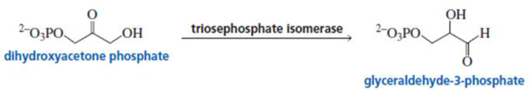 Chapter 18, Problem 40P, Trisephosphate isomerase (TIM) catalyzes the conversion of dihydroxyacetone phosphate to 