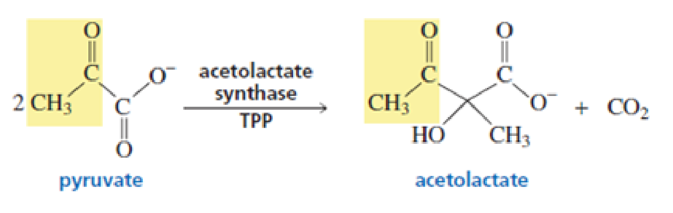 Chapter 18.9, Problem 16P, Acetolactate synthase is another TPP-requiring enzyme. It, too, catalyzes the decarboxylation of 