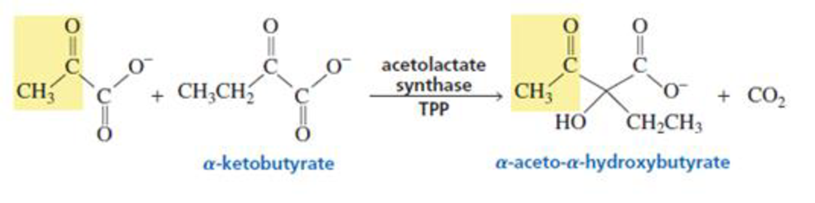 Chapter 18.9, Problem 17P, Acetolactate synthase can also transfer the acyl group from pyruvate to -Ketobutyrate. This is the 