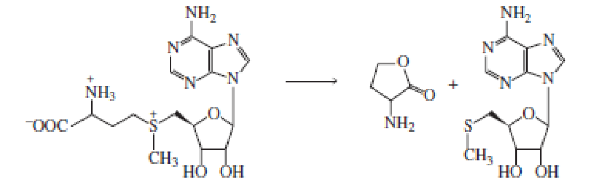 Chapter 9, Problem 51P, Propose a mechanism for the following reaction: 