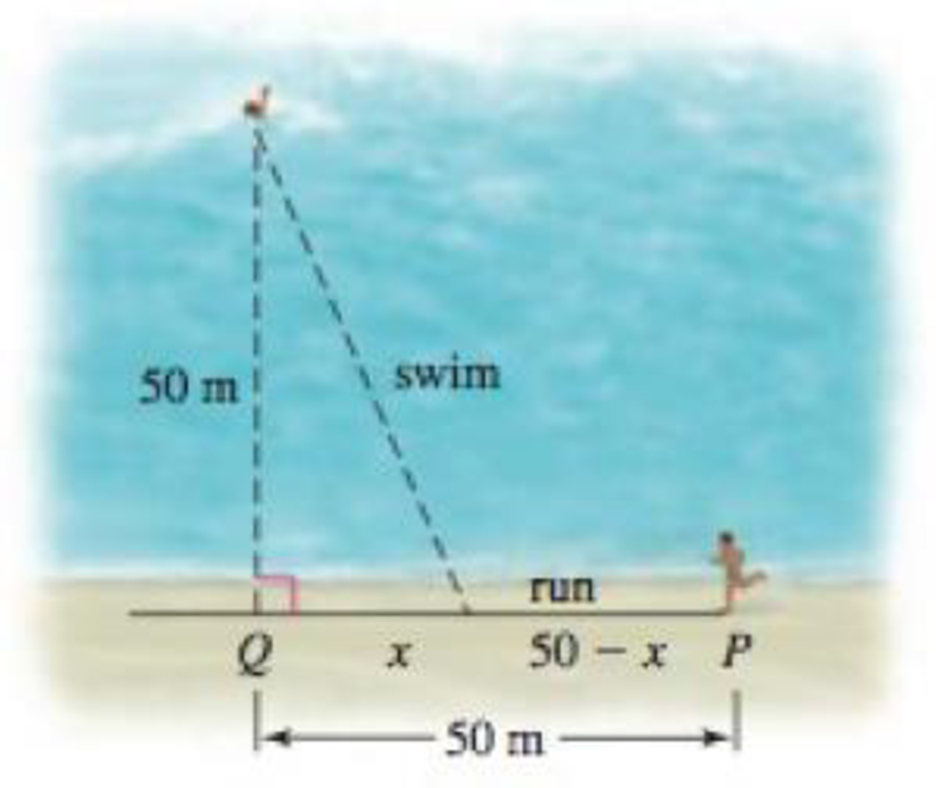 Chapter 4.1, Problem 87E, Every second counts You must get from a point P on the straight shore of a lake to a stranded 