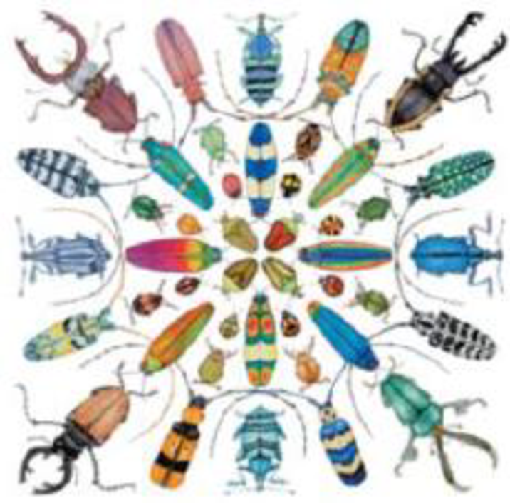 Chapter 27, Problem 10TYU, SYNTHESIZE YOUR KNOWLEDGE Collectively, do these beetles and all other invertebrate species combined 