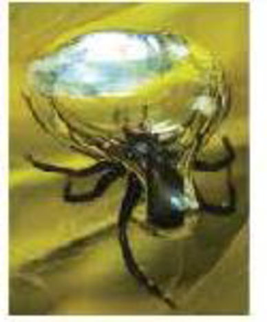 Chapter 34, Problem 12TYU, SYNTHESIZE YOUR KNOWLEDGE The diving bell spider (Argyroneta aquatica) stores air underwater in a 