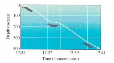 Chapter 1.3, Problem 67E, LIFE SCIENCE APPLICATIONS Whales Diving The figure shows the depth of a diving sperm whale as a 