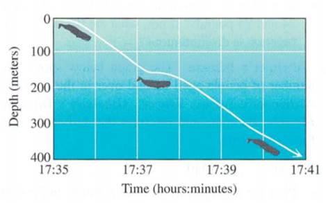 Chapter 3.CR, Problem 69CR, Whales Diving The figure on the next page, already shown in section 1.3 on a Properties of 