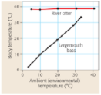 Chapter 21, Problem 15PS, Interpreting Data Using the data in the graph below, write a conclusion about the thermoregulation 