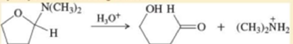 Chapter 18, Problem 18.72SP, a. Simple aminoacetals hydrolyze quickly and easily in dilute acid. Propose a mechanism for , example  1